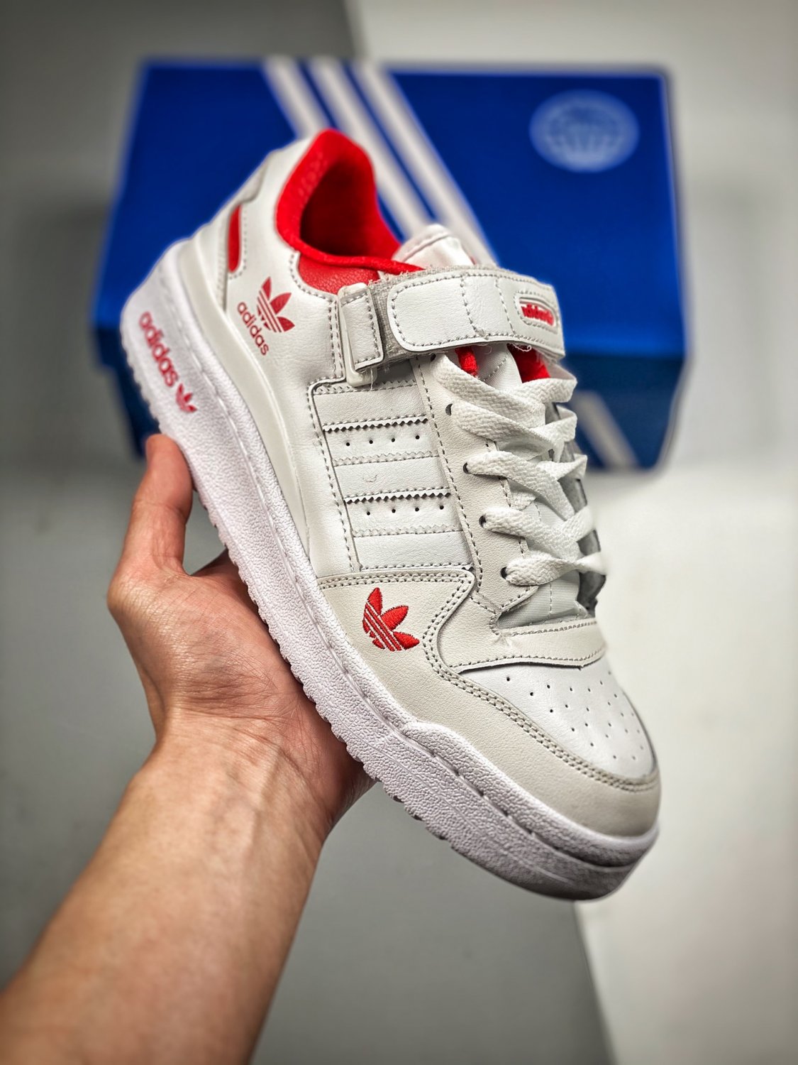 2024  forum low cloud whitered h01674