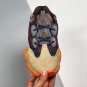 2024  yeezy 500 &Atilde;&cent;&Acirc;�&Acirc;�enflame&Atilde;&cent;&Acirc;�&Acirc;�
