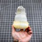 2024 yeezy boost 350 v2 âÂÂabezâ fz5246