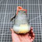 2024  yeezy boost 350 v2 &Atilde;&cent;&Acirc;�&Acirc;�desert sage&Atilde;&cent;&Acirc;�&Acirc;�