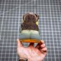 2024  yeezy boost 380 &Atilde;&cent;&Acirc;�&Acirc;�lmnte&Atilde;&cent;&Acirc;�&Acirc;�