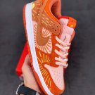 2024 & 2025  dunk low nh âwinter solsticeâ team orangecrimson bliss