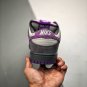 2024 & 2025  dunk sb low &acirc;��purple pigeon&acirc;�� light graphiteviolet
