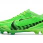 2024&25  Mercurial Vapor 15 Elite FG Dream Speed MDS 2024 - Electric GreenBlack