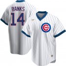 Men's CHC #14 Ernie Banks cooperstown  Jersey pinstripe pullover