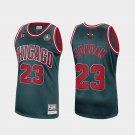 Men's Michael Jordan  Bulls  hardwood  classics jersey green