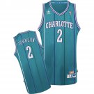 Men's Larry Johnson Charlotte Hornets throwback jersey green