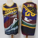 Men's Lakers LeBron James Jersey Rainbow Graffiti Color Matching
