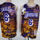 Men's Lakers #6 LeBron James Retro Jersey Year Of The Rabbit