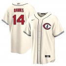 Men's Youth CHC Ernie Banks Field of Dreams Jersey Cream Stitched Replica