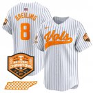 Men's Tennessee Volunteers #8 Dylan Dreiling White Pinstripe 2024 Champions Vapor Player Jersey