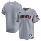 Men's Washington Nationals Blank Nike Road Gray Limited Team Jersey