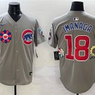 Chicago Cubs #18 Shota Imanaga Gray 2025 Tokyo Series Limited Jersey