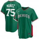 Men's Mexico Baseball #75 Andrés Muñoz Green 2026 World Baseball Classic Road Jersey