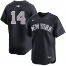 New York Yankees #14 Amed Rosario Nike Navy Grey Alternate 2nd New York Limited Jersey