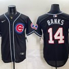 Men's Chicago Cubs #14 Ernie Banks 150th Anniversary Black Out Style Jersey