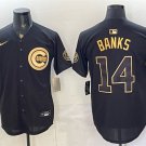 Men's Chicago Cubs #14 Ernie Banks Black Gold 150th Anniversary Patch Jersey