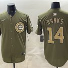 Men's Chicago Cubs #14 Ernie Banks Olive Armed Forces Stitched Baseball Jersey