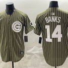 Men's Chicago Cubs #14 Ernie Banks Pinstripe Olive 2026 Armed Forces Day Jersey
