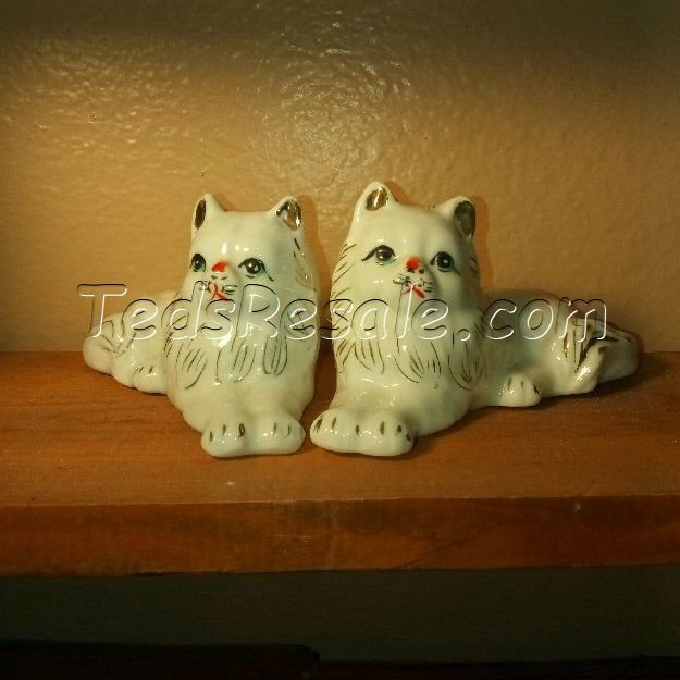 Two White Kitties