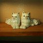 Two White Kitties