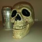 Skull with Deep Black Eyes and a hinged jaw.