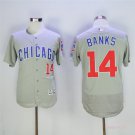  14 Ernie Banks Stitched Baseball Jersey Color grey 1