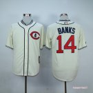  14 Ernie Banks Stitched Baseball Jersey Color 1
