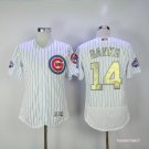  14 Ernie Banks Stitched Baseball Jersey Color while 2