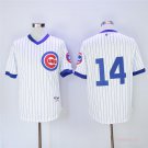  14 Ernie Banks Stitched Baseball Jersey Color while 1