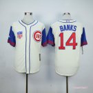  14 Ernie Banks Stitched Baseball Jersey Color while 3