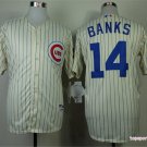  14 Ernie Banks Stitched Baseball Jersey Color while 4