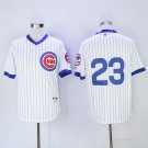 23 Ryne Sandberg Stitched Baseball Jersey Color while 4