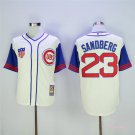 23 Ryne Sandberg Stitched Baseball Jersey Color while 5