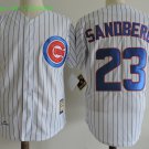 23 Ryne Sandberg Stitched Baseball Jersey Color while 6