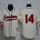 14 Larry Doby Stitched Baseball Jersey Color while 1