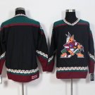 Arizona Coyotes blank Stitched Hockey Jersey Color 1