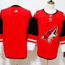 Arizona Coyotes blank Stitched Hockey Jersey Color red