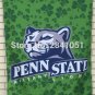 Penn State Nittany Lions Green American Outdoor Indoor Baseball  Flag 3X5 FT