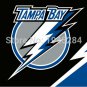 Tampa Bay Lightning Flag Banner New 3x5ft 90x150cm Polyester 9665
