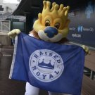 Kansas City Royals RAISED ROYAL Flag Greater Kansas City 3x5 ft