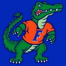 90x150cm florida gators flag  100D Digital Printing flag with 2 metal Grommets
