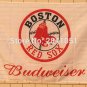 Boston Red Sox USA Team Outdoor Indoor Flag 3X5 ft