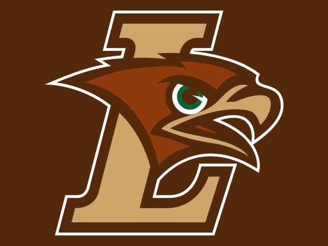 Sport Products lehigh Mountain Hawks Hand Flag 3*5ft Club Basketball Team Banner