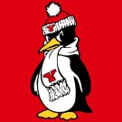 Youngstown State Penguins flag 3x5ft customized Digital Printing 100D Polyester