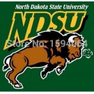 North Dakota State Bison flag 3ftx5ft Banner 100D Polyester Flag metal Grommets