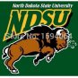 North Dakota State Bison flag 3ftx5ft Banner 100D Polyester Flag metal Grommets