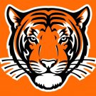 Princeton Tigers custom-made university sports team Flag 3x5 FT