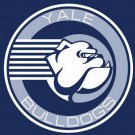 Yale Bulldogs flag 3ftx5ft Banner 100D Polyester Flag 2 metal Grommets custom