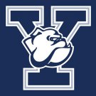 Yale Bulldogs 100D Polyester Digital Printing Sleeve metal Grommets 90x150 CM